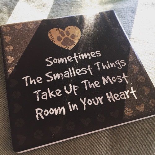 coaster that says "Sometimes the smallest things take up the most room in your heart."