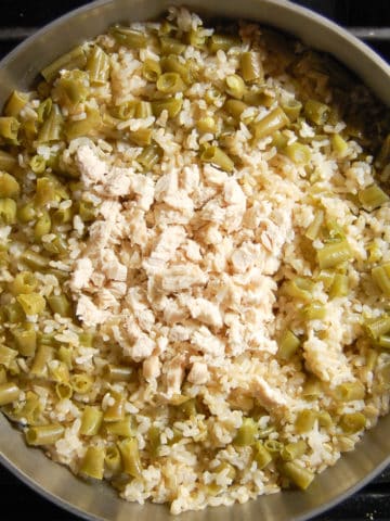 chicken and rice for dogs after cooking with cut up green beans and chicken breast