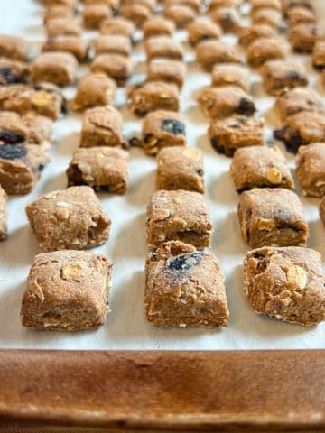 blueberry oatmeal dog treats