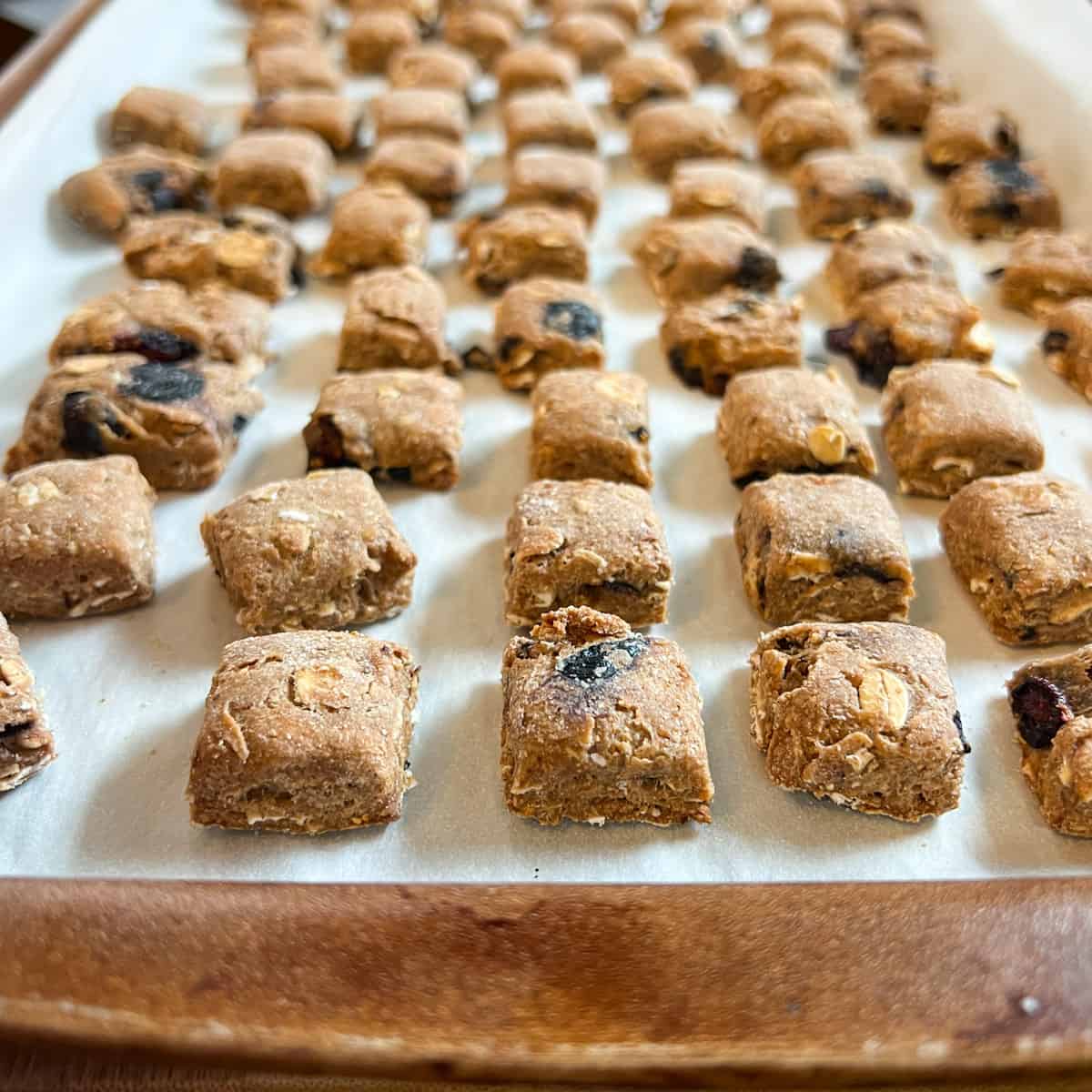 blueberry oatmeal dog treats